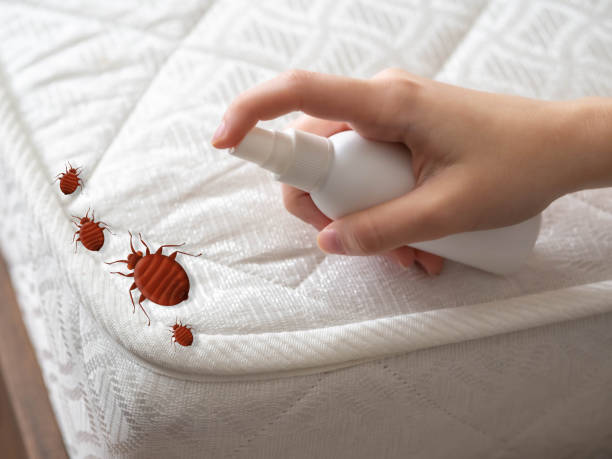 Professional Pest Control in Portage, WI